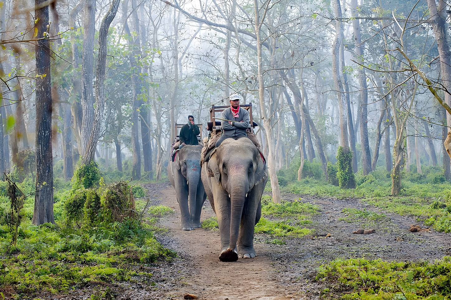 Nepal Triangle Tour