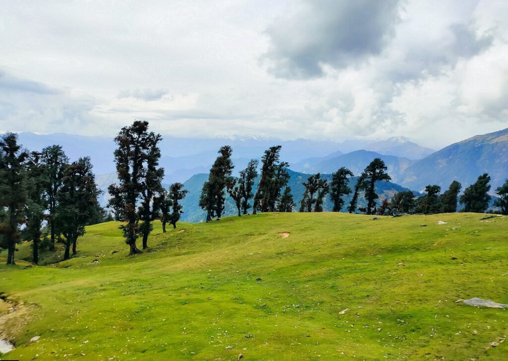 Chopta tour